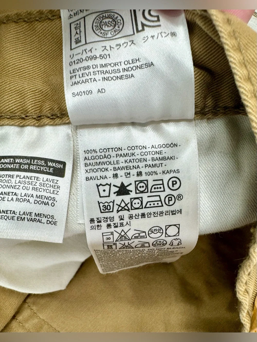 Levis levis 514